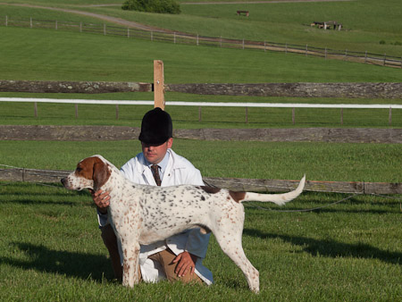 Class 701 Champion Foxhound