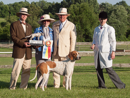 Class 701, Champion Foxhound