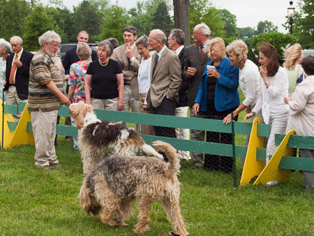 Bryn Mawr Hound Show 2012