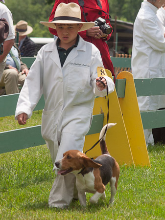 Junior Handler 2012