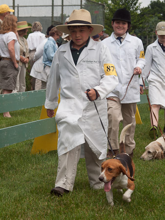 Junior Handler 2012