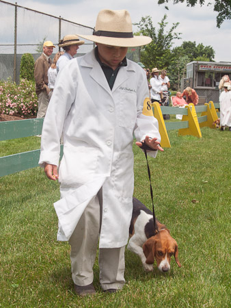 Junior Handler 2012