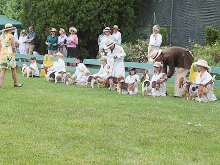 Junior Handler 2012