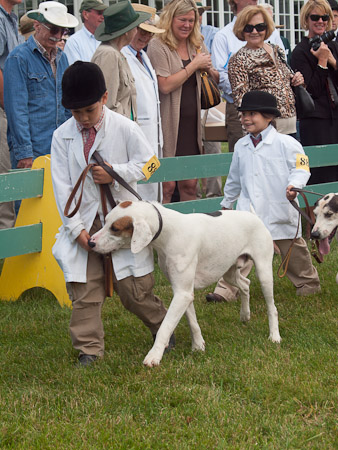 Junior Handler 2012