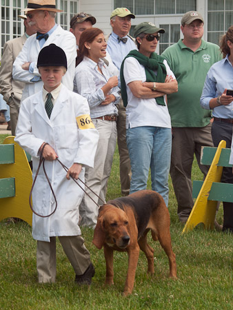 Junior Handler 2012