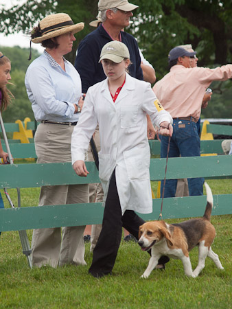 Junior Handler 2012