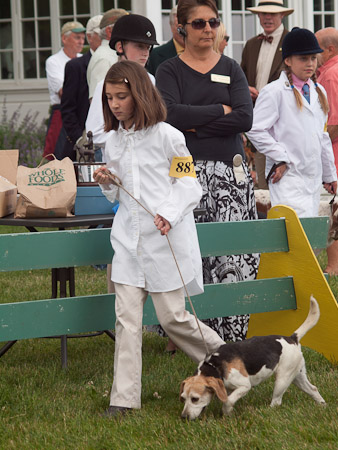 Junior Handler 2012