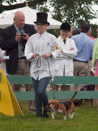 Junior Handler 2012