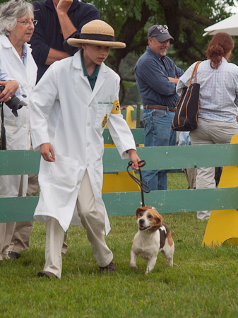 Junior Handler 2012