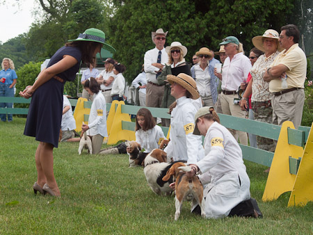 Junior Handler 2012