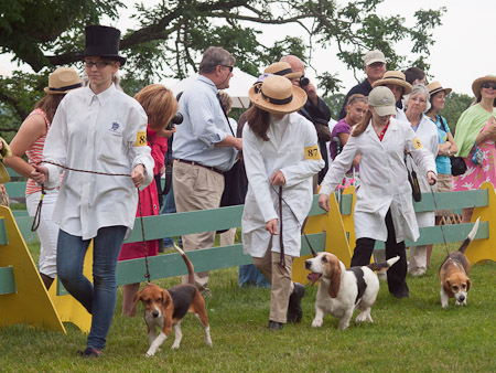 Junior Handler 2012