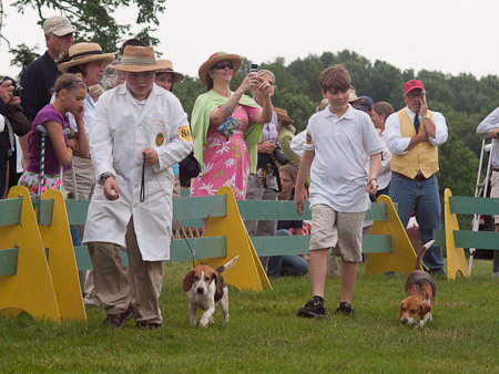 Junior Handler 2012