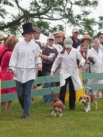 Junior Handler 2012