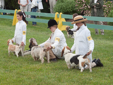 Junior Handler 2012