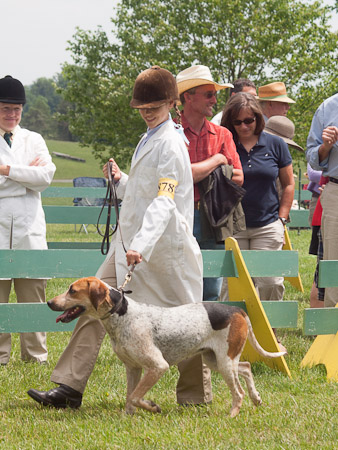 Junior Handler 2012