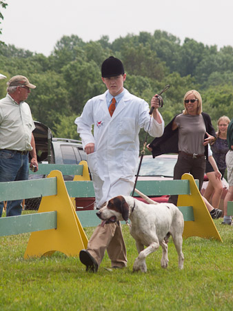 Junior Handler 2012