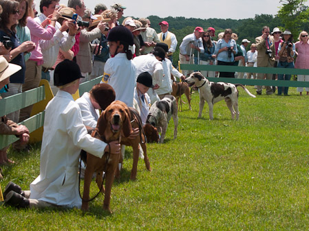 Junior Handler 2012