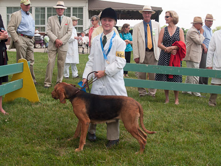 Junior Handler 2012