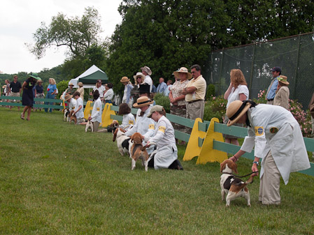 Junior Handler 2012