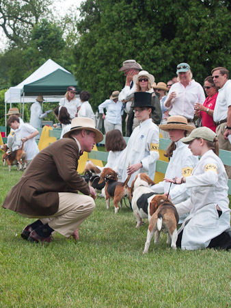 Junior Handler 2012