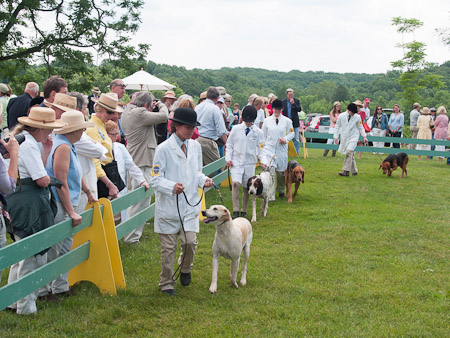 Junior Handler 2012