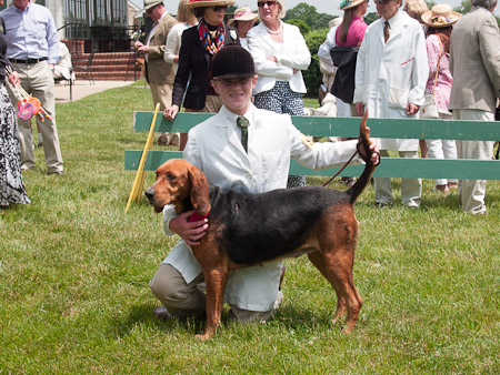 Junior Handler 2012