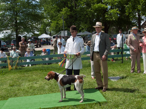 Class 207, Champion American Dog: Keswick Warrior 2012