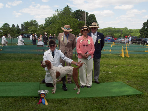Class 213, Champion American Bitch: Potomac KNICKERS 2013
