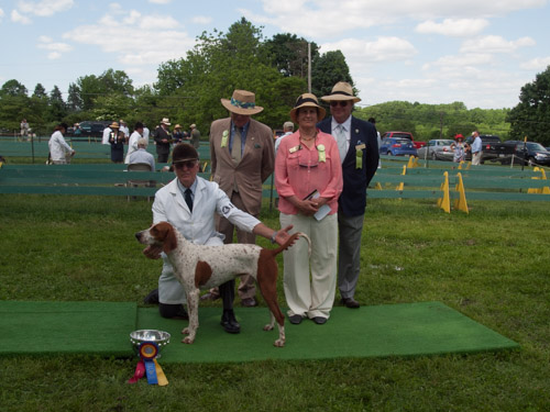Class 213, Champion American Bitch: Potomac KNICKERS 2013