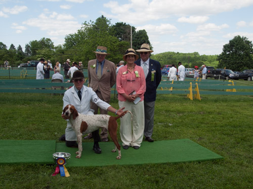 Class 213, Champion American Bitch: Potomac KNICKERS 2013