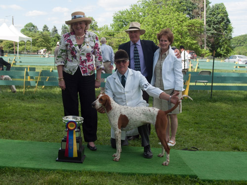 Class 215, Champion American Foxhound: Potomac KNICKERS 2013