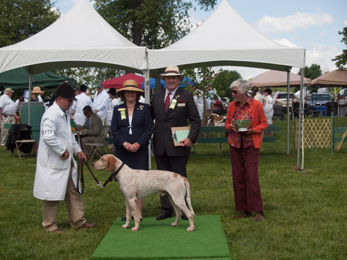 Class 405, Crossbred Stalion: Green Spring Valley WOODSMAN 2011