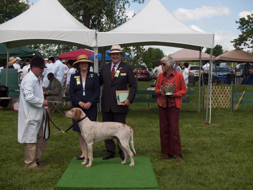 Class 405, Crossbred Stalion: Green Spring Valley WOODSMAN 2011