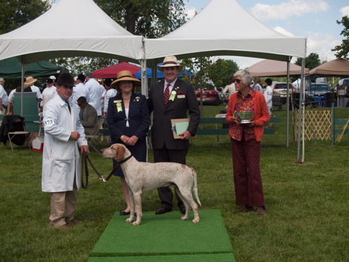 Class 405, Crossbred Stalion: Green Spring Valley WOODSMAN 2011