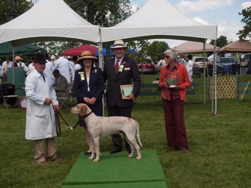 Class 405, Crossbred Stalion: Green Spring Valley WOODSMAN 2011