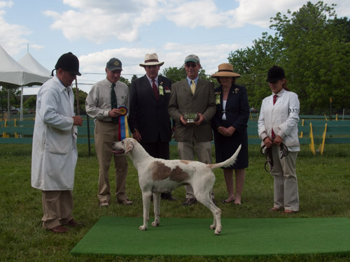 Class 417, Champion Crossbred Foxhound: Green Spring Valley SEEMLY 2011
