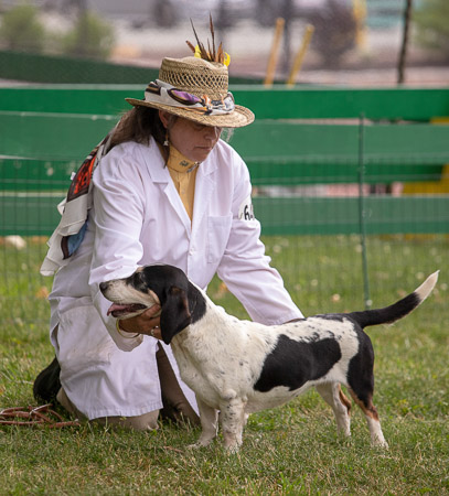 carter-amigh-hill--hollow-bassets_53004812228_o