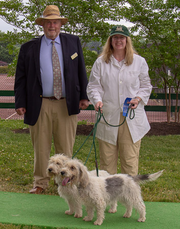 skycastle-french-hounds_53004709655_o